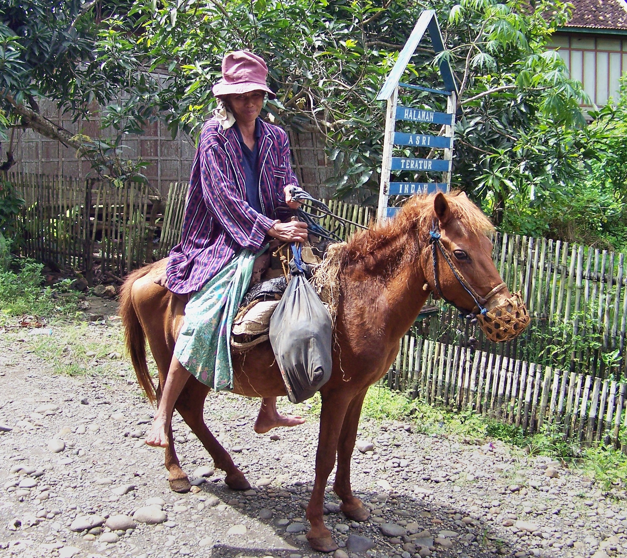 On horseback in Bira